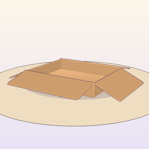 Cardboard carton XL